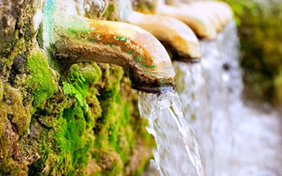 Image robinets forêt loi sur l'eau
